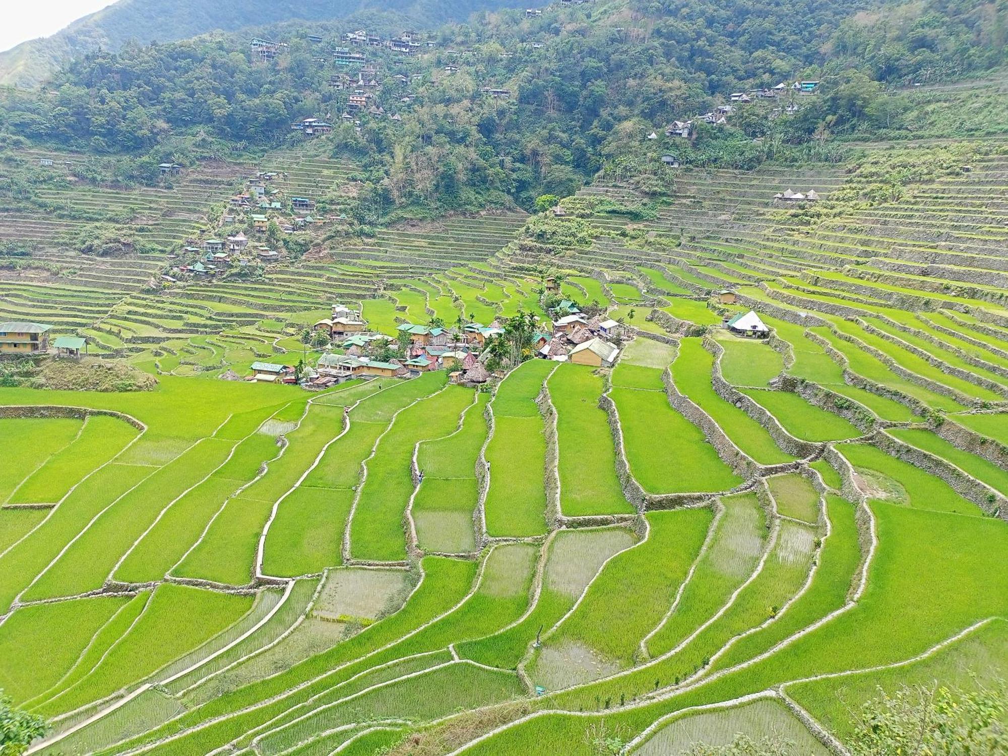 Banaue Transient House Bed And Breakfast エクステリア 写真